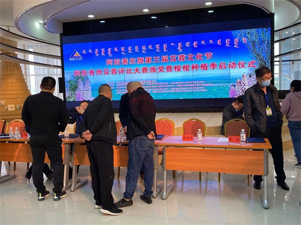 图片1.jpg