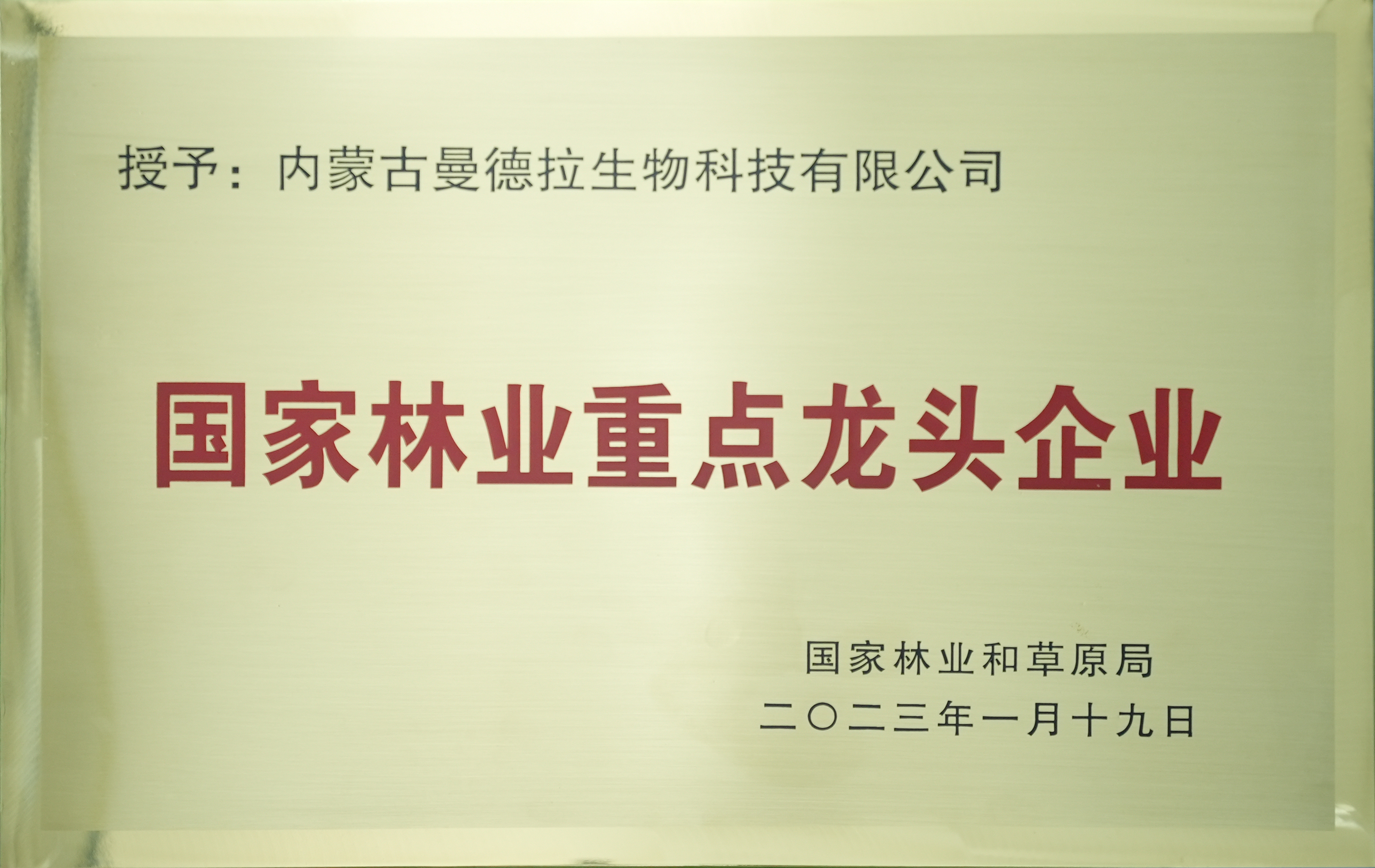 1国家林业重点龙头.jpg